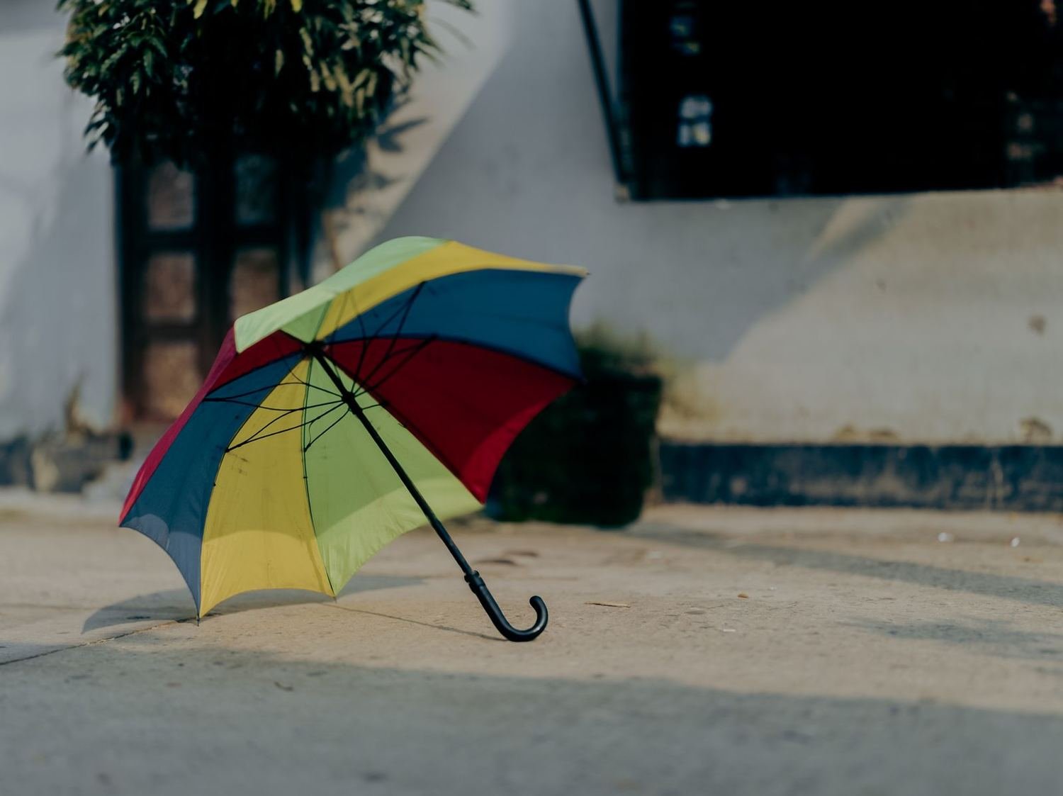Umbrellas branded with a company logo